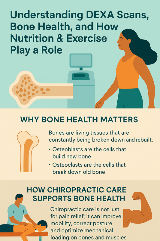 Understanding DEXA Scans, Bone Health, and How Nutrition &amp; Exercise Play a Role