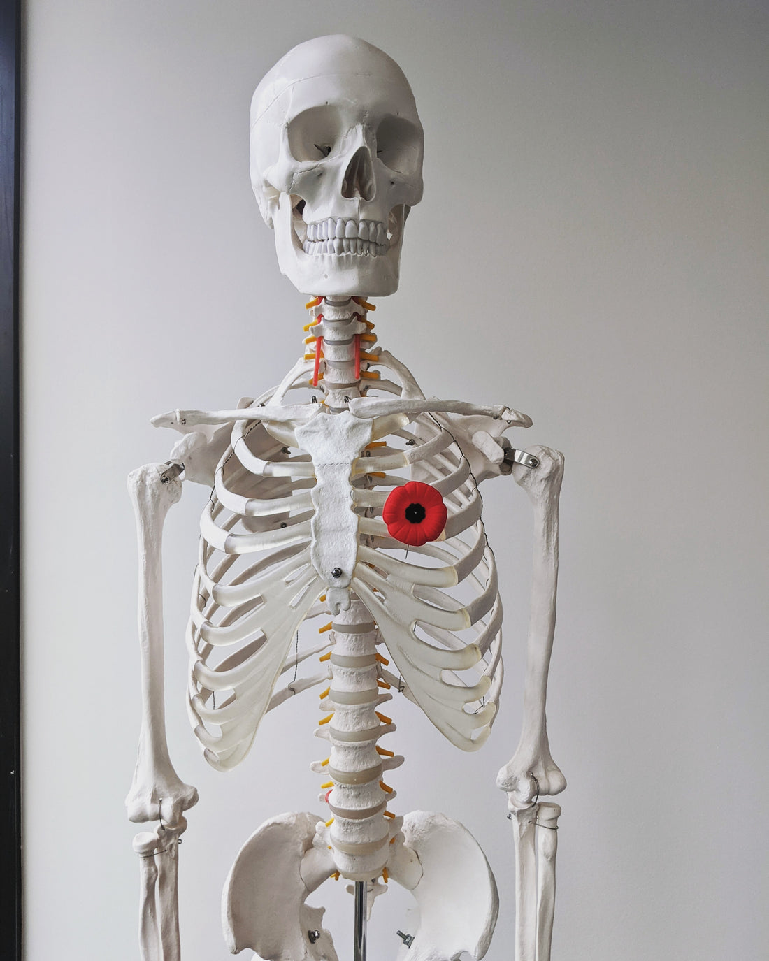 What Conditions Can Chiro Be Helpful For?