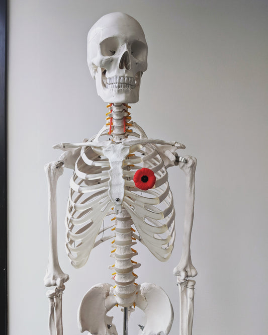 What Conditions Can Chiro Be Helpful For?